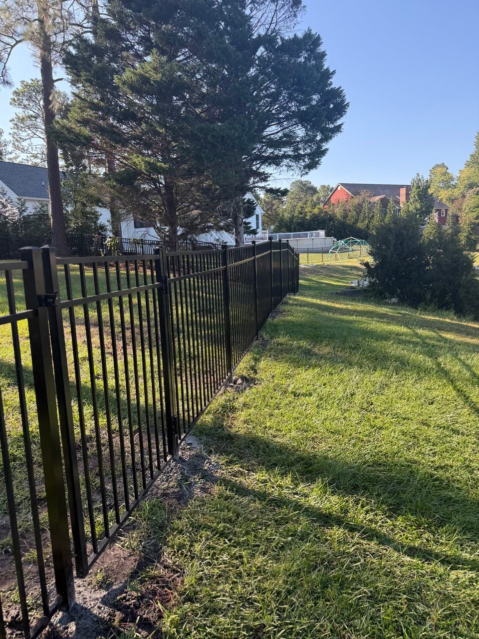 Black aluminum fence along a grassy side yard with evergreens behind it