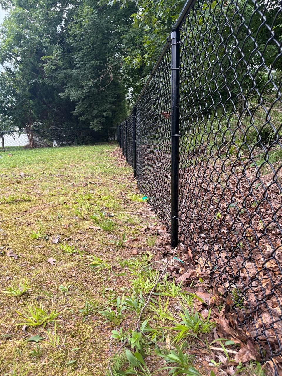 Black chain link fence and line post along a tree line