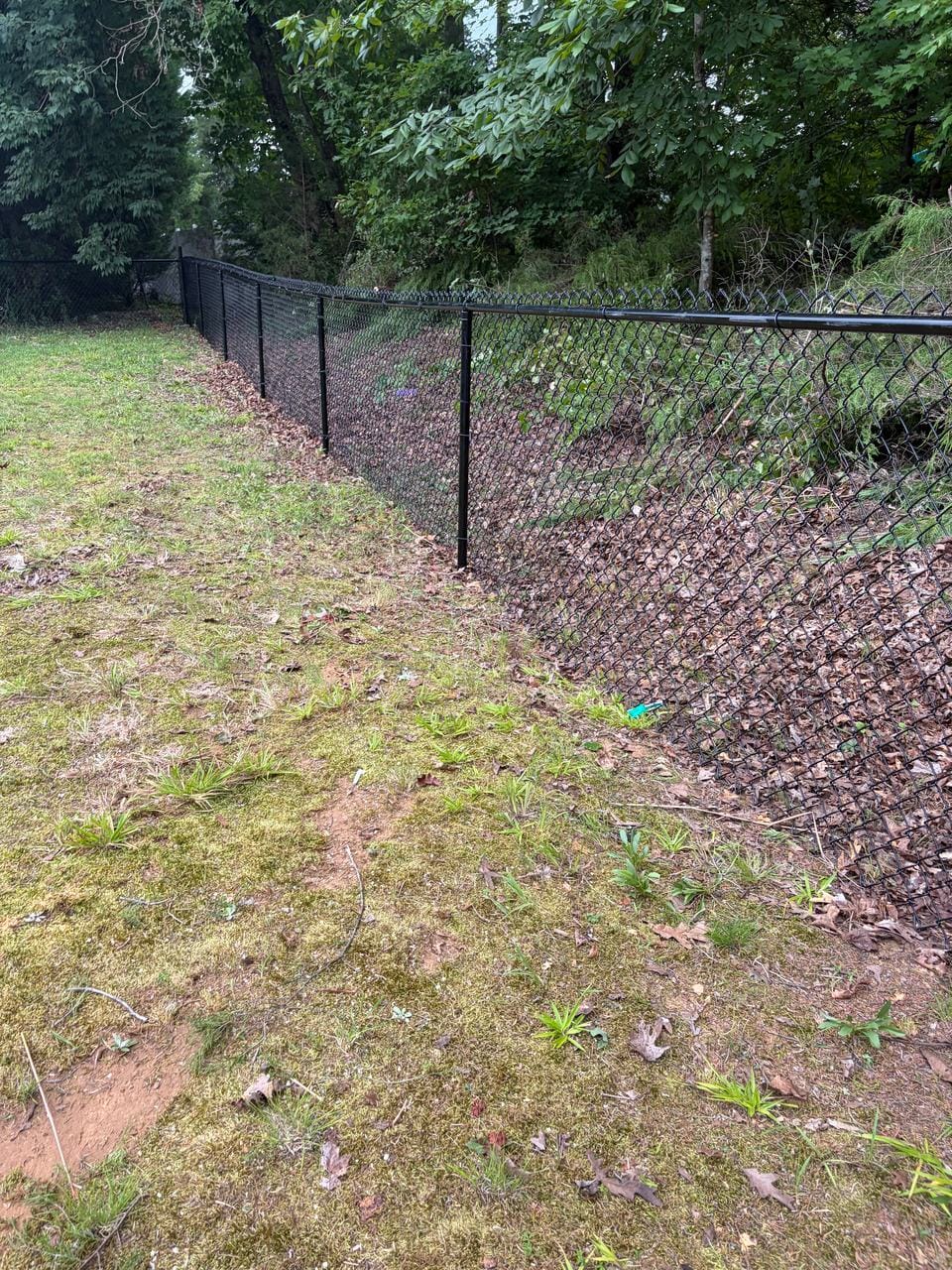 Black chain link fence along the edge of a wooded back yard