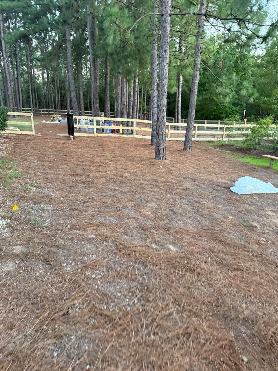 Wood rail fence with wire mesh around a yard of tall pines